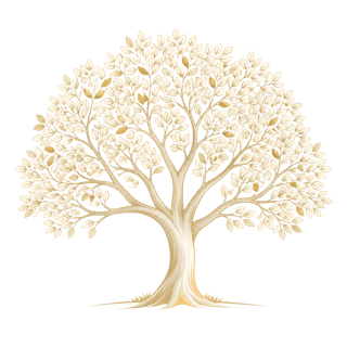 Árbol ilustrado que representa el compromiso de Casa Tapiz: un árbol por cada tapizado